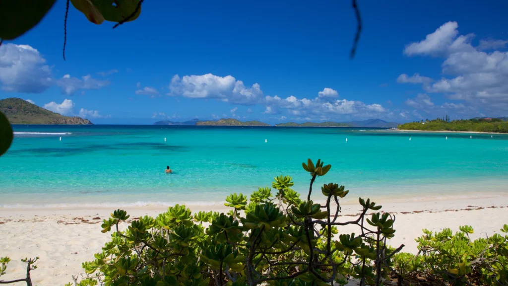 Best Beaches St. Thomas US Virgin Islands